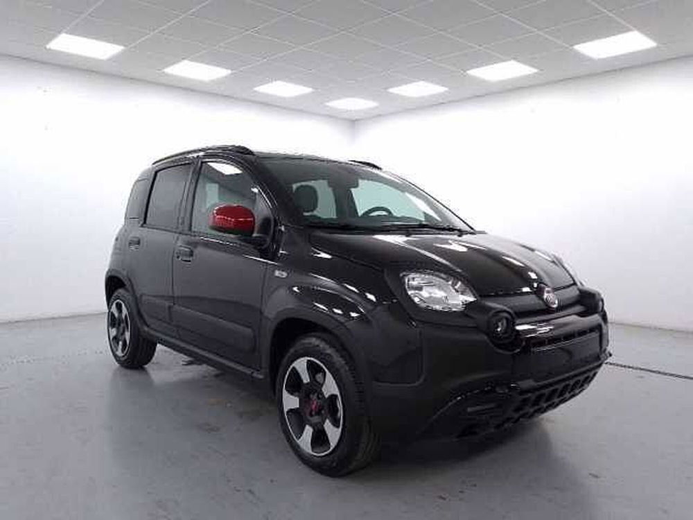 Fiat Panda nuova a Cuneo (3)