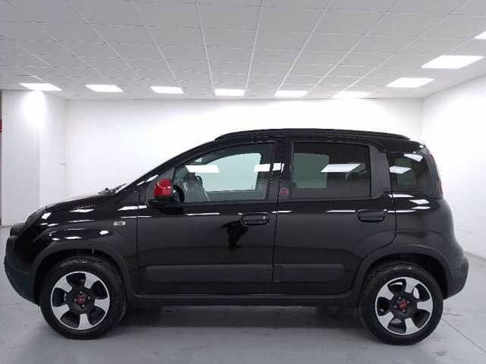 Fiat Panda nuova a Cuneo (5)