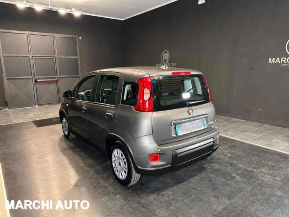 Fiat Panda usata a Perugia (7)