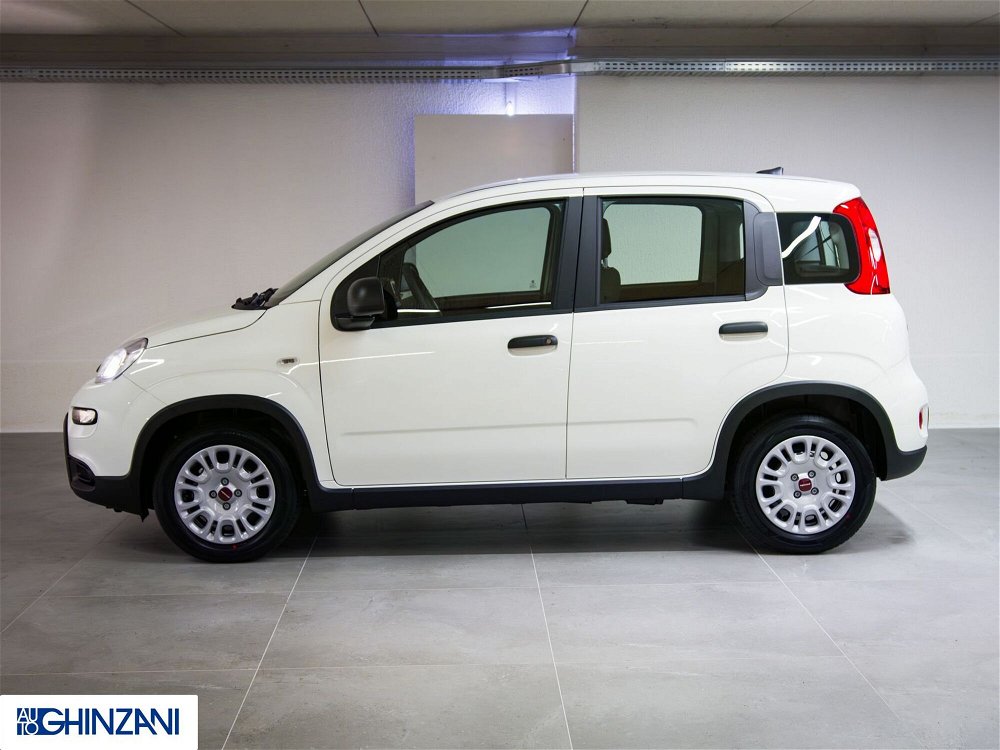 Fiat Panda 1.0 FireFly S&S Hybrid Easy nuova a San Paolo d'Argon (4)