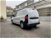 Nissan Townstar 1.3 130 CV Van PL Acenta nuova a Gallarate (7)