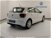 Volkswagen Polo 1.6 TDI 5p. Trendline BlueMotion Technology del 2019 usata a Pratola Serra (7)