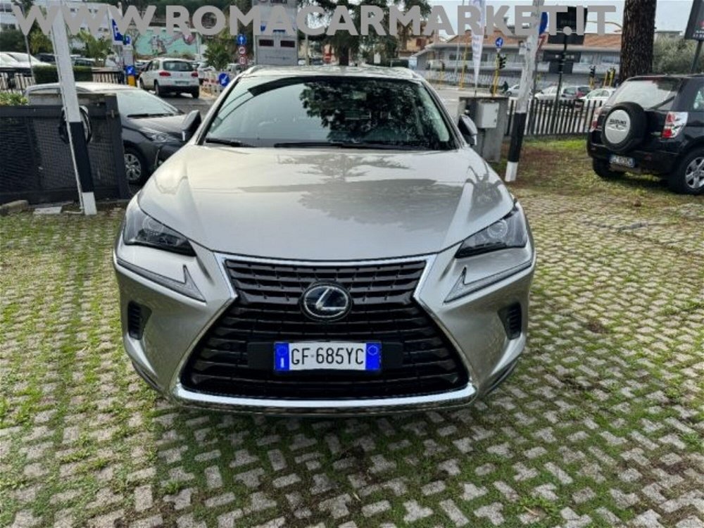Lexus NX Hybrid 4WD Premium  del 2021 usata a Roma (2)