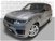 Land Rover Range Rover Sport 3.0 SDV6 249 CV HSE Dynamic del 2020 usata a Livorno (19)