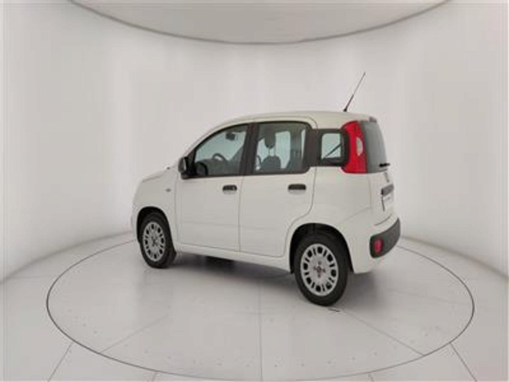 Fiat Panda 1.2 Easy  del 2019 usata a Bari (4)