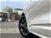 Ford Kuga 1.5 EcoBlue 120 CV 2WD ST-Line  del 2021 usata a Torino (6)