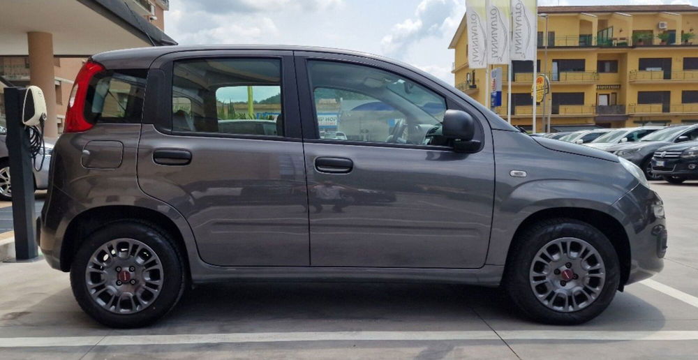 Fiat Panda usata a Frosinone (6)