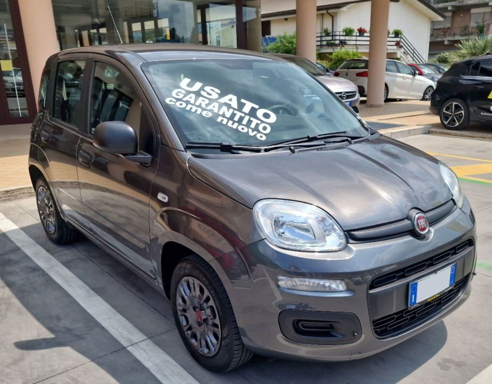 Fiat Panda usata a Frosinone (7)