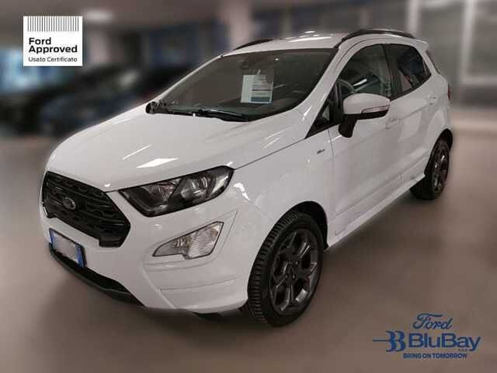 Ford EcoSport 1.0 EcoBoost 125 CV Start&amp;Stop ST-Line  del 2022 usata a Livorno