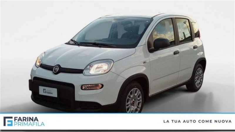 Fiat Panda 1.0 FireFly S&S Hybrid  nuova a Marcianise