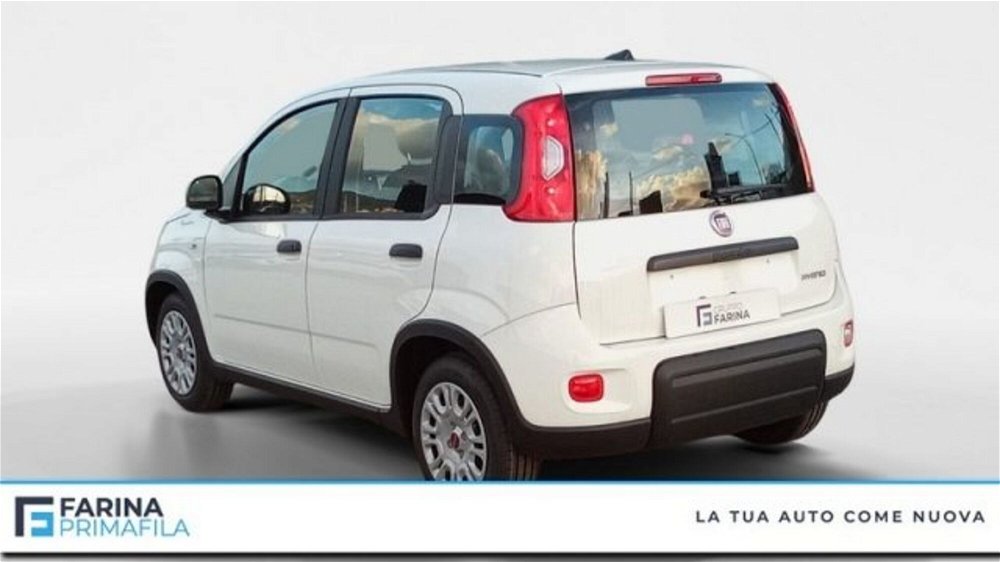 Fiat Panda 1.0 FireFly S&S Hybrid  nuova a Marcianise (3)