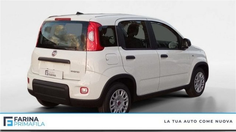 Fiat Panda 1.0 FireFly S&S Hybrid  nuova a Marcianise (5)