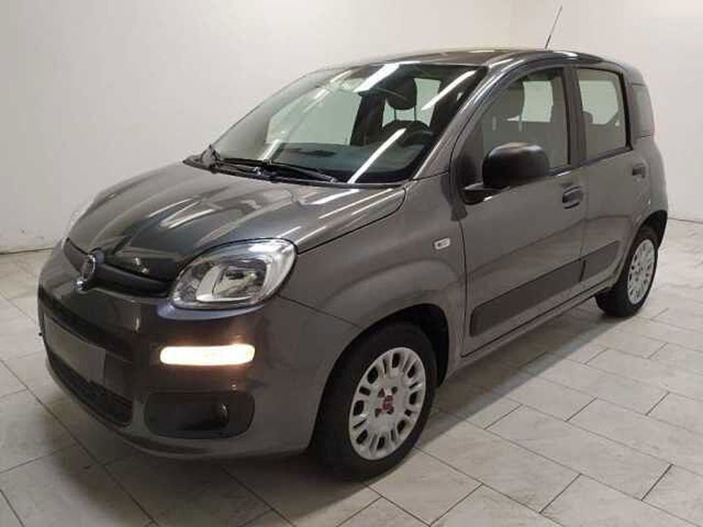 Fiat Panda usata a Cuneo