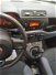 Fiat Panda 1.3 MJT 95 CV S&S Easy  del 2019 usata a Cuneo (14)