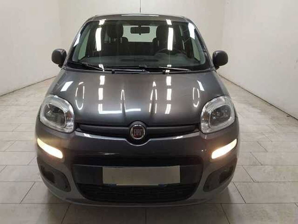 Fiat Panda usata a Cuneo (2)