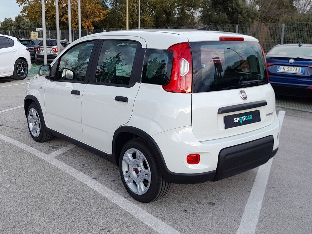Fiat Panda 1.0 FireFly S&S Hybrid Easy nuova a Jesi (5)