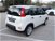 Fiat Panda Cross Cross 1.0 FireFly S&S Hybrid  nuova a Jesi (7)