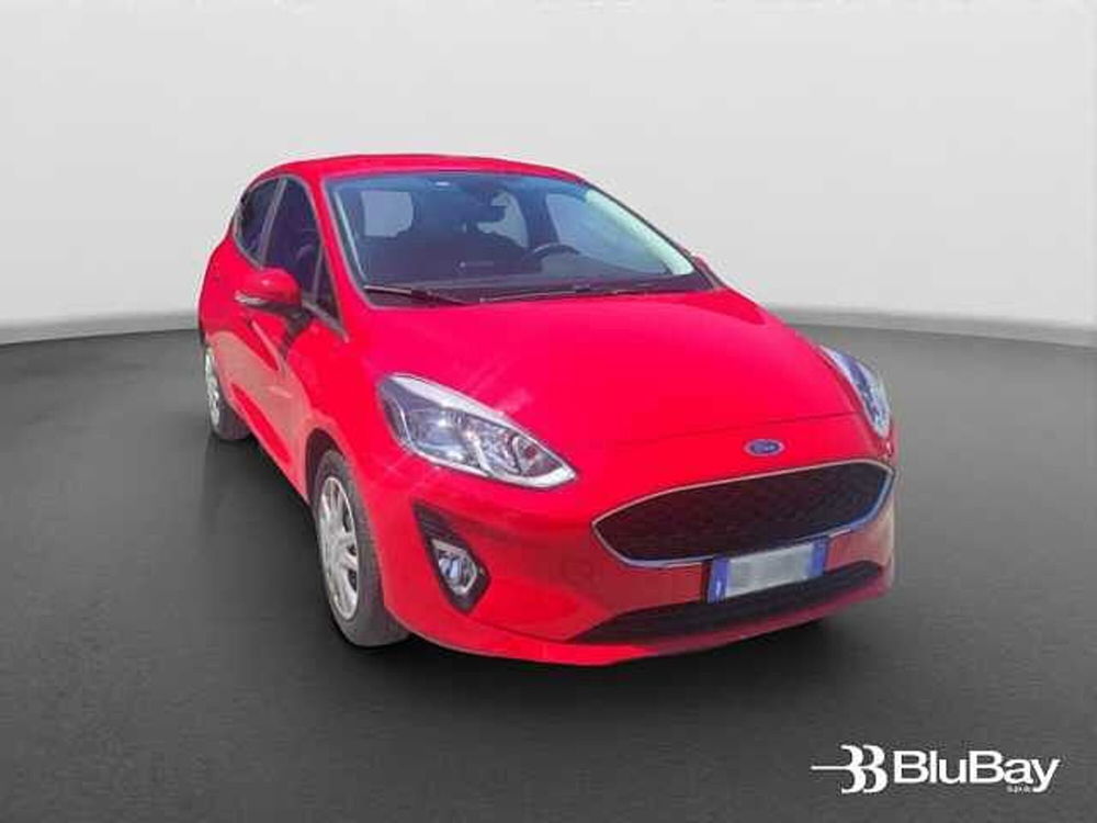 Ford Fiesta usata a Livorno (3)