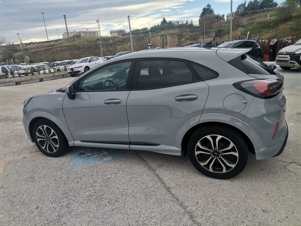 Ford Puma usata a Matera (8)