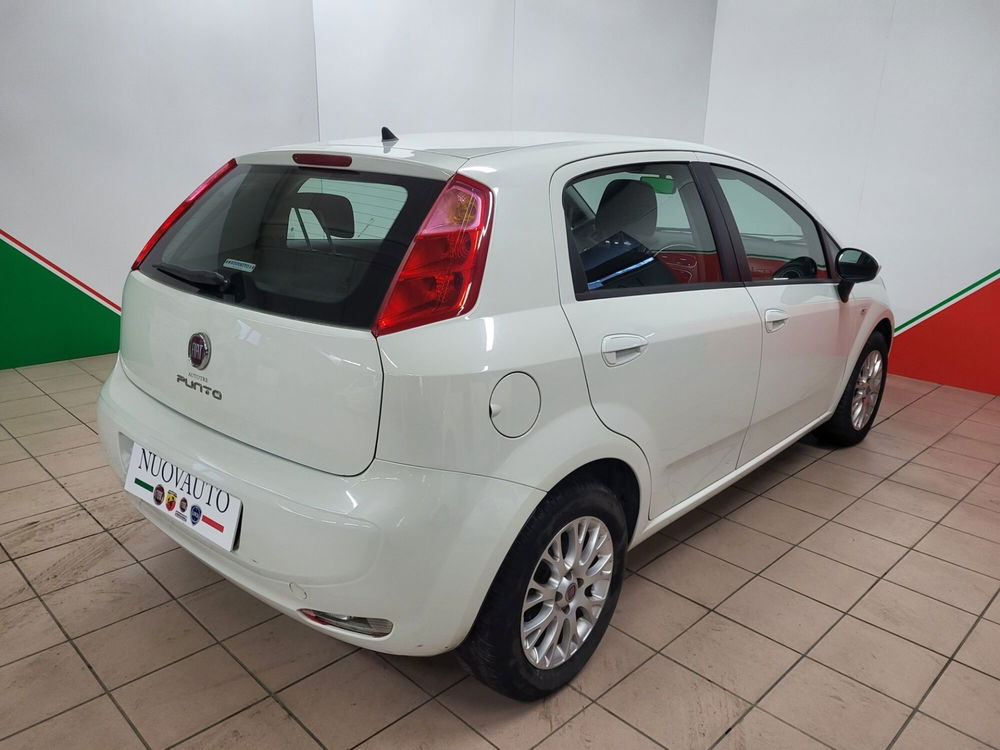 Fiat Punto 1.3 MJT II 75 CV 5 porte Easy  del 2015 usata a Terranuova Bracciolini (3)