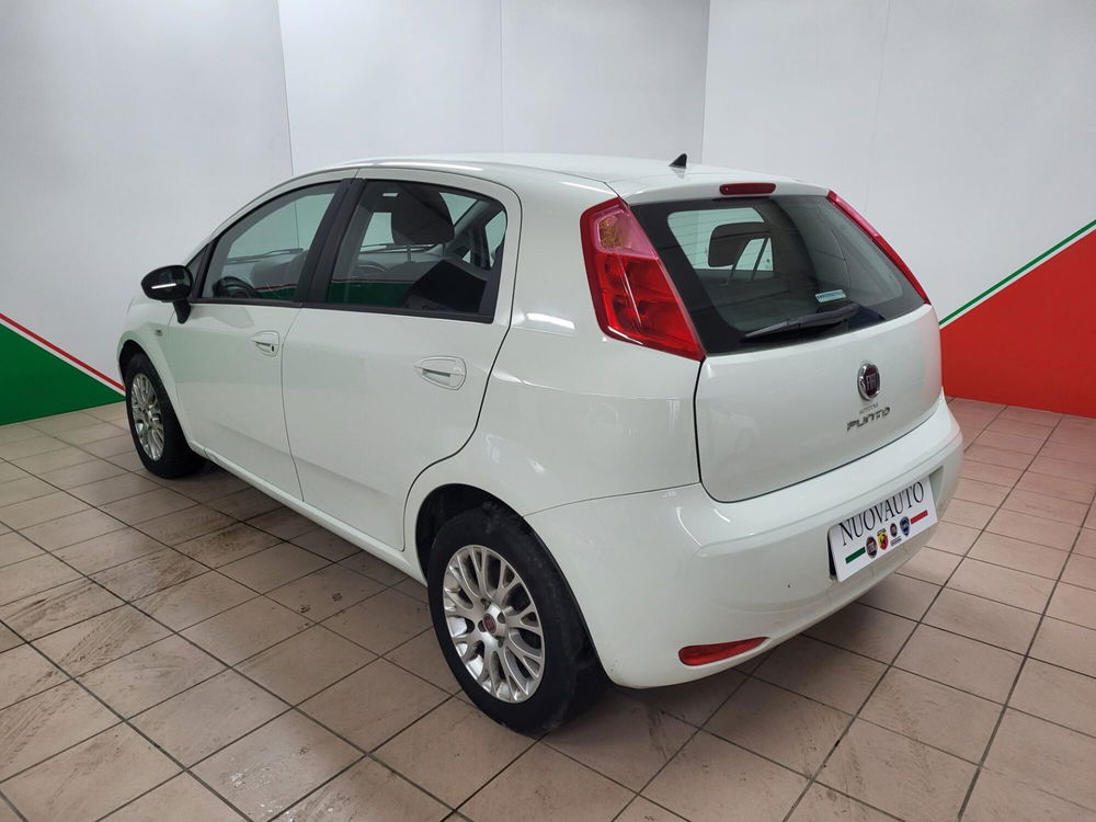 Fiat Punto 1.3 MJT II 75 CV 5 porte Easy  del 2015 usata a Terranuova Bracciolini (4)