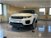 Land Rover Range Rover Evoque 2.0 TD4 150 CV 5p. SE  del 2019 usata a Sassari (15)