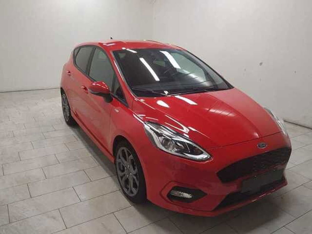 Ford Fiesta usata a Cuneo (3)