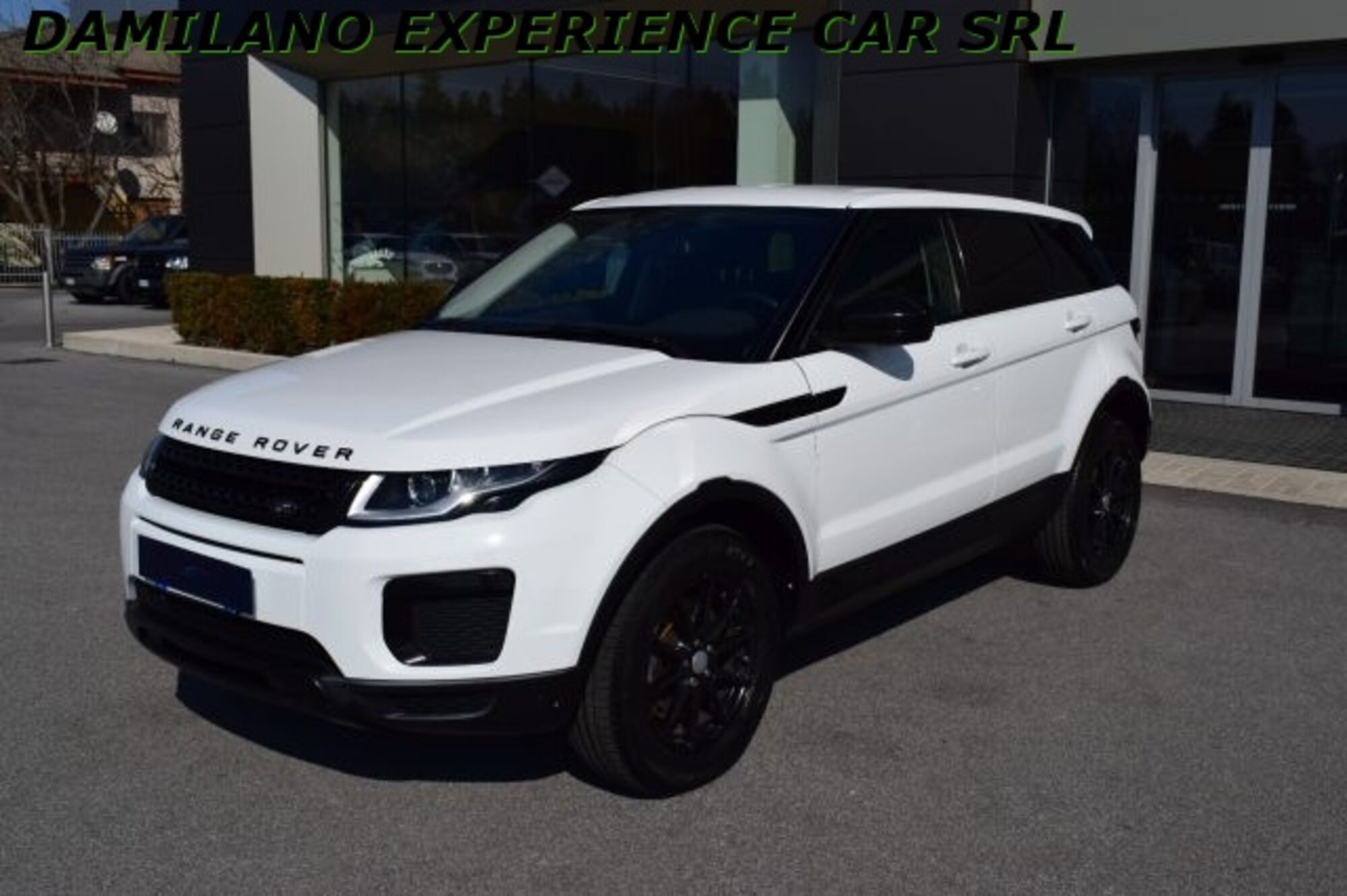 Land Rover Range Rover Evoque 2.0 TD4 150 CV 5p. Pure  del 2018 usata a Cuneo