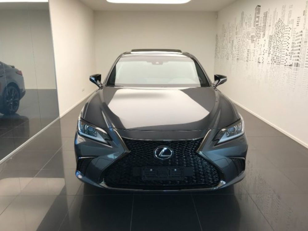 Lexus ES nuova a Cuneo (2)