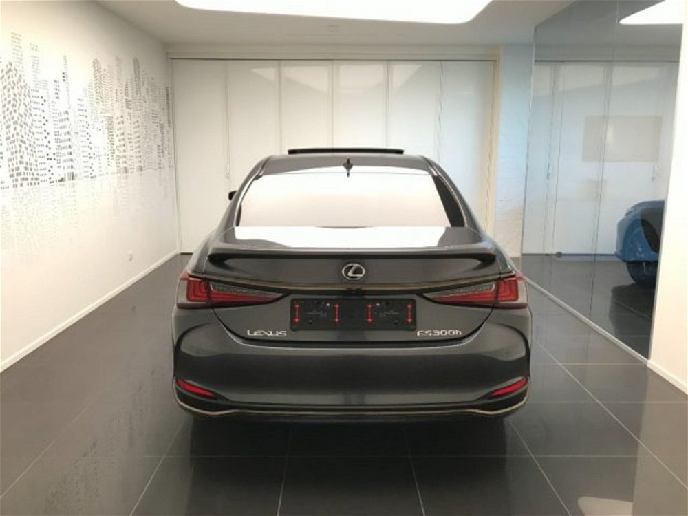 Lexus ES Hybrid Design nuova a Cuneo (5)