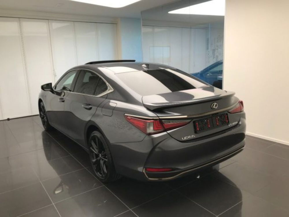 Lexus ES nuova a Cuneo (6)