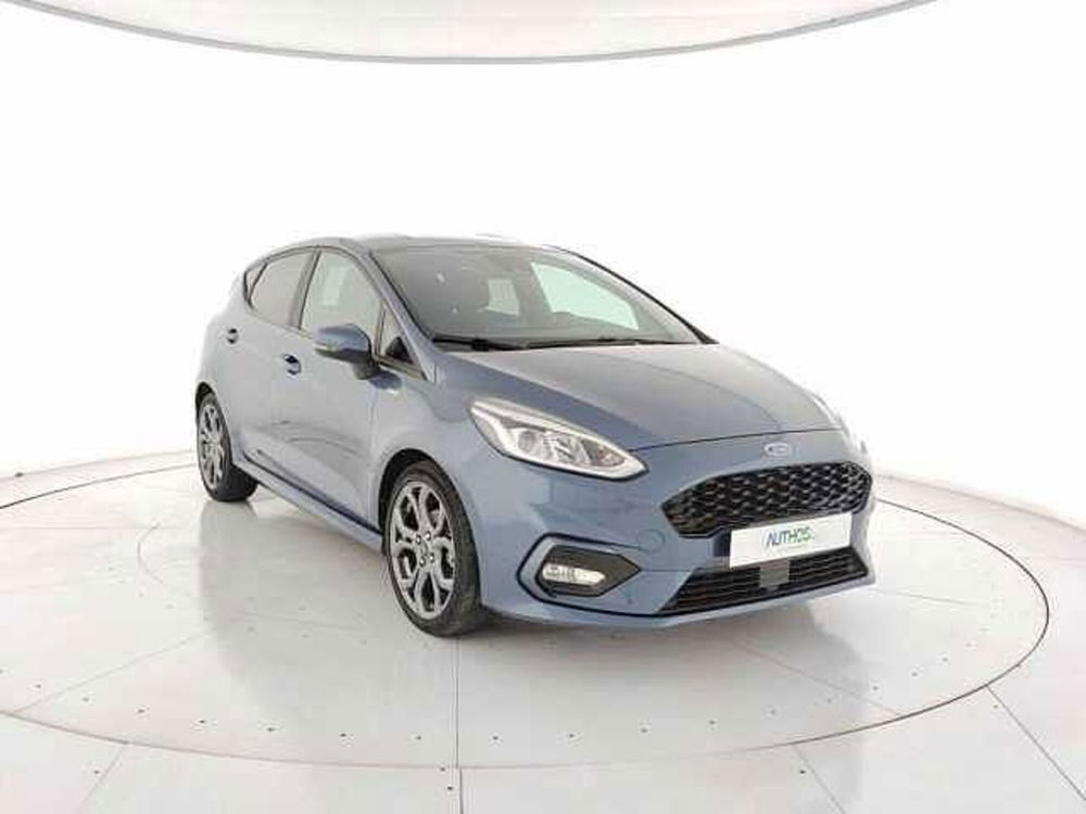 Ford Fiesta usata a Torino (2)