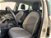SEAT Ibiza 1.6 TDI 95 CV 5 porte Business  del 2018 usata a Firenze (7)