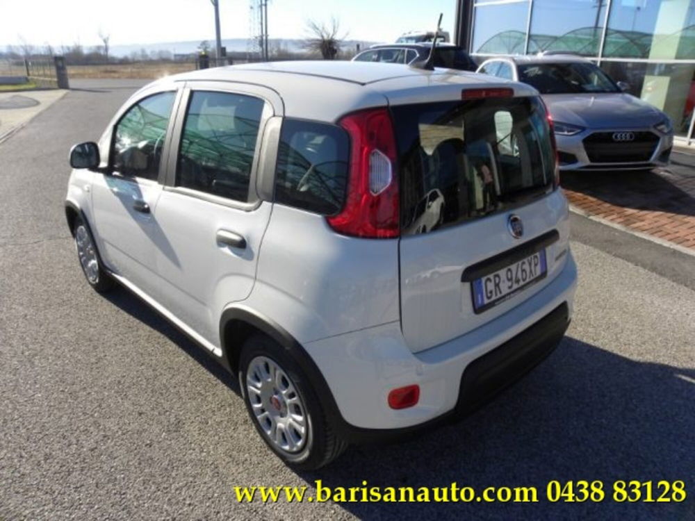 Fiat Panda 1.0 firefly hybrid s&s 70cv 5p.ti nuova a Pieve di Soligo (4)