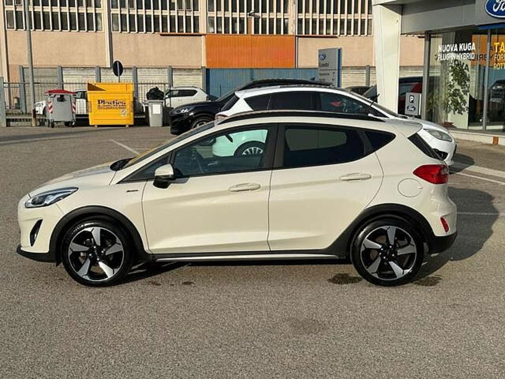 Ford Fiesta usata a Pesaro-Urbino (4)