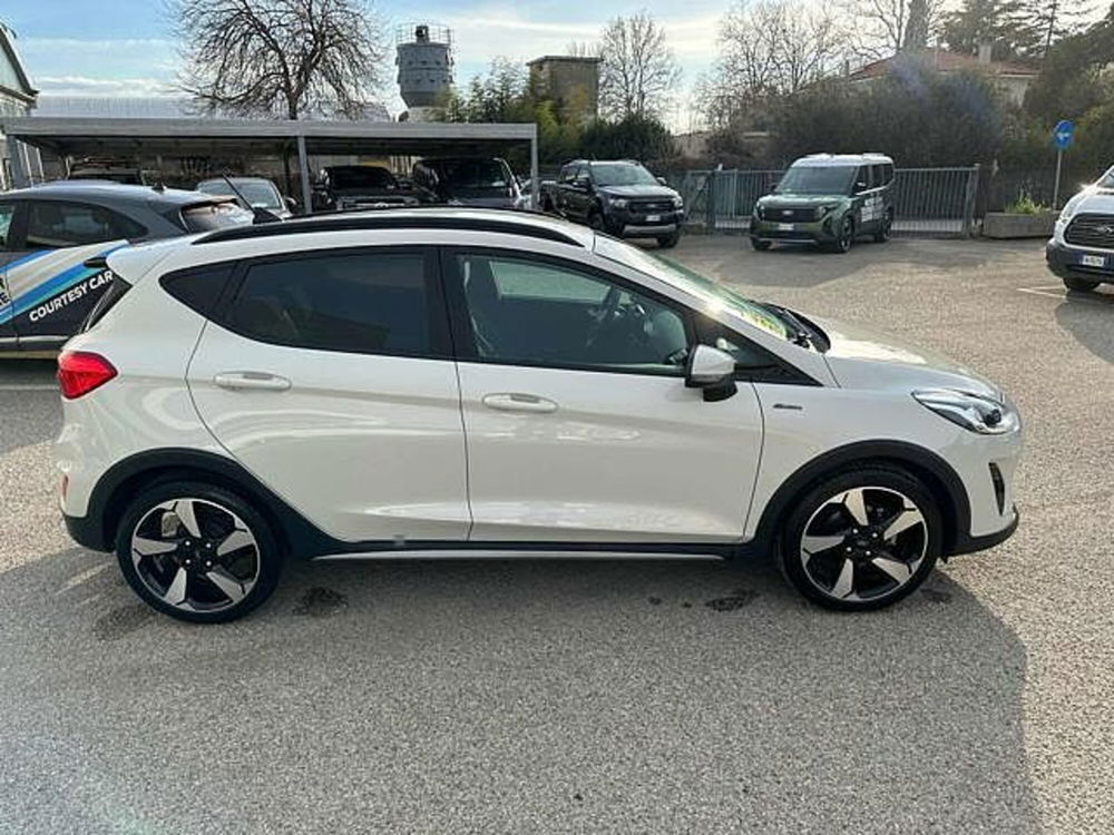 Ford Fiesta usata a Pesaro-Urbino (5)