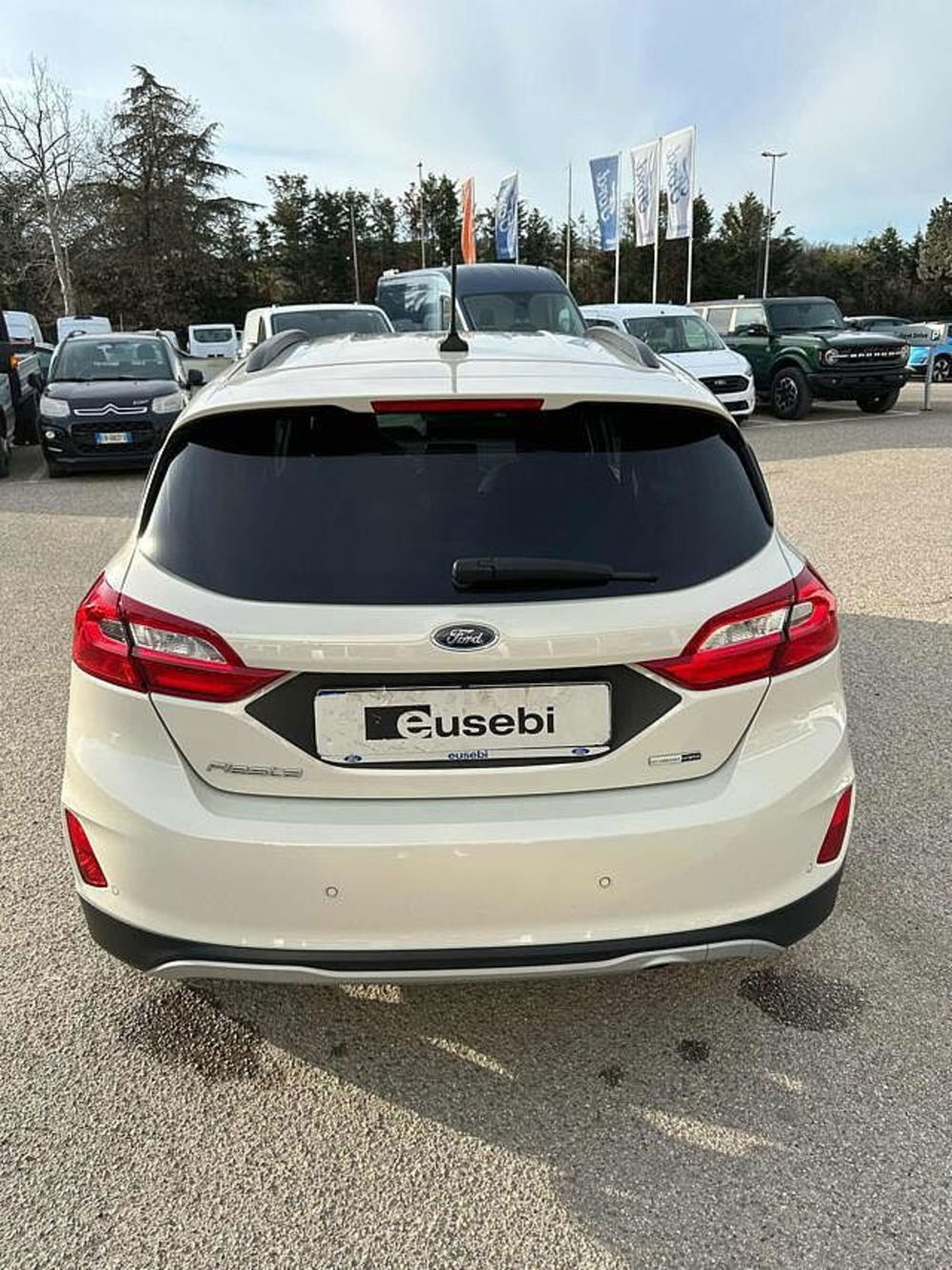 Ford Fiesta usata a Pesaro-Urbino (8)