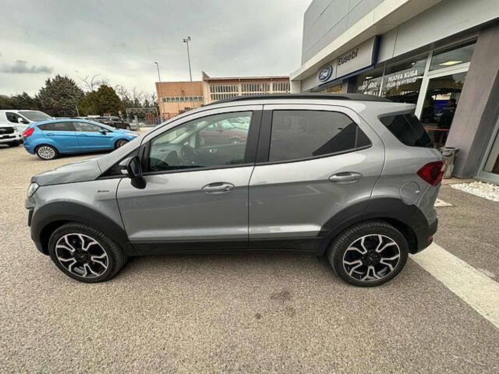 Ford EcoSport usata a Pesaro-Urbino (5)