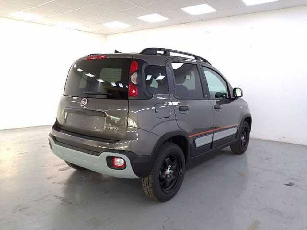 Fiat Panda nuova a Cuneo (8)