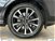 Ford Kuga 1.5 TDCI 120CV S&S 2WD Powershift ST-Line Business del 2017 usata a Albano Laziale (14)