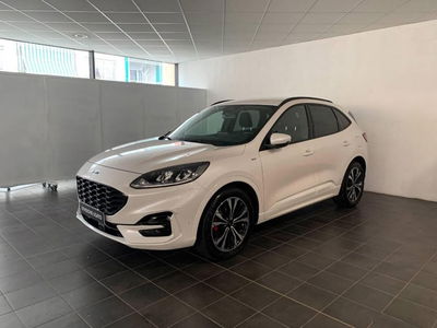 Ford Kuga 2.0 EcoBlue Hybrid 150 CV 2WD ST-Line X  del 2021 usata a Torino