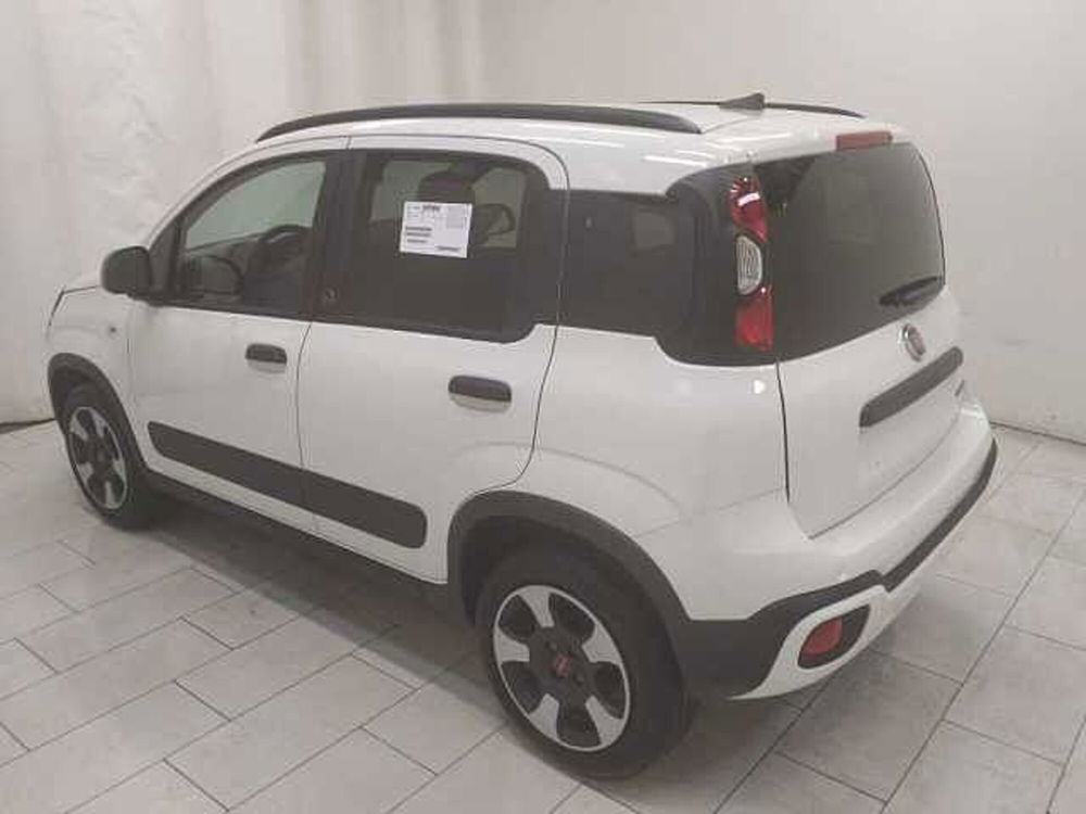 Fiat Panda nuova a Cuneo (6)