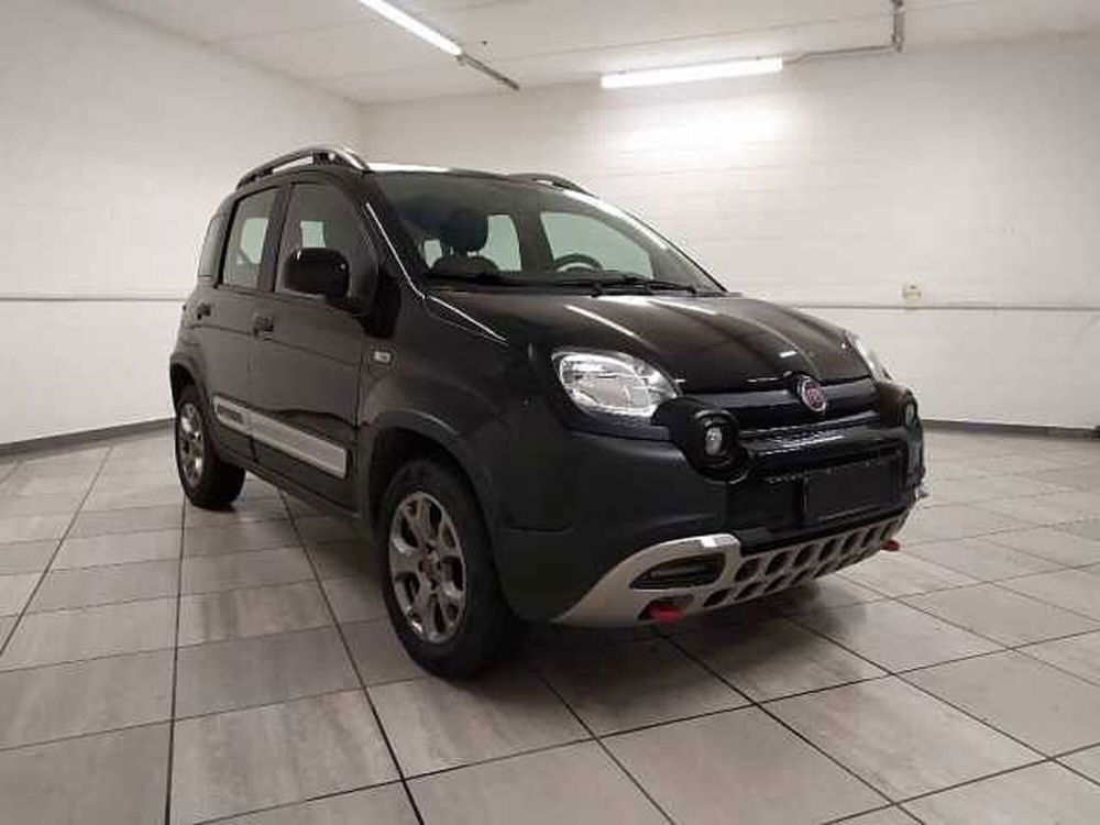 Fiat Panda Cross usata a Cuneo (3)