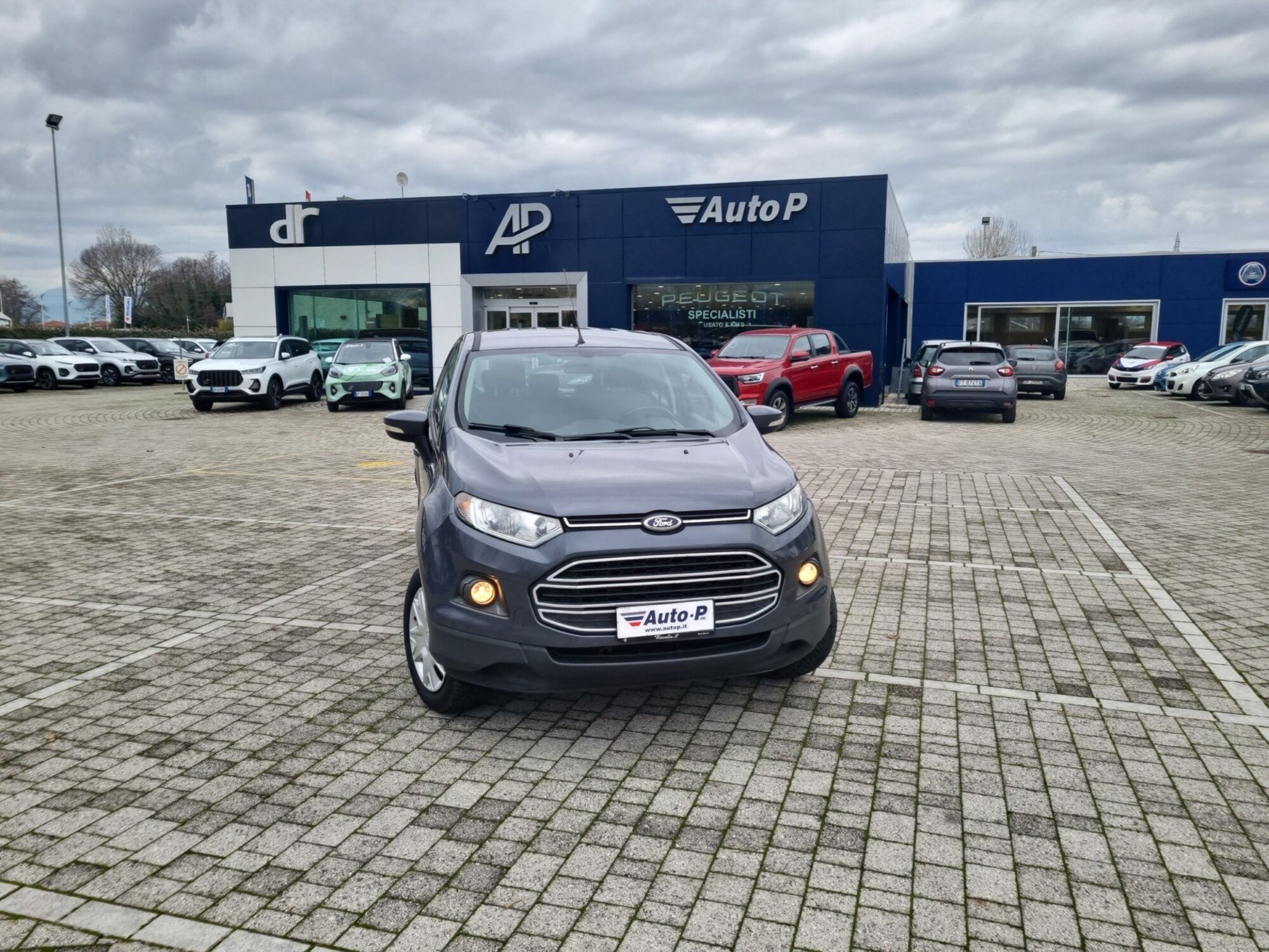 Ford EcoSport 1.0 EcoBoost 125 CV Plus  del 2016 usata a Lucca