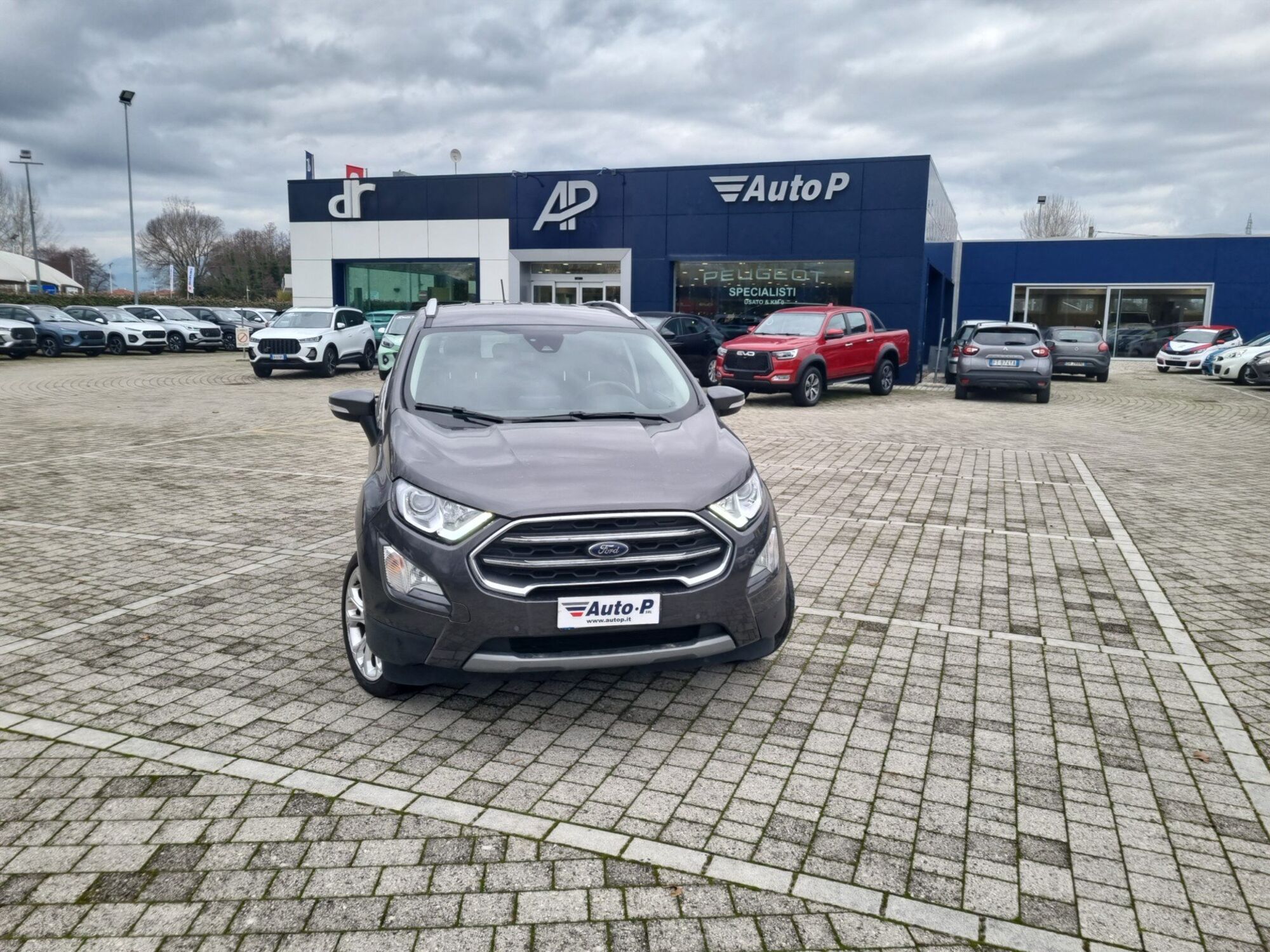 Ford EcoSport 1.0 EcoBoost 125 CV Titanium  del 2021 usata a Lucca