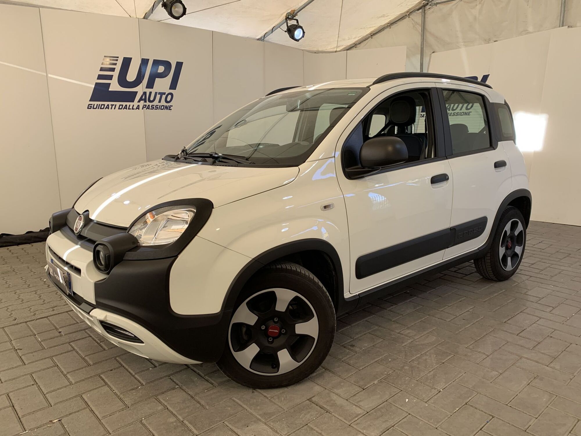 Fiat Panda Cross 1.0 firefly hybrid Cross s&amp;s 70cv 5p.ti del 2022 usata a Firenze