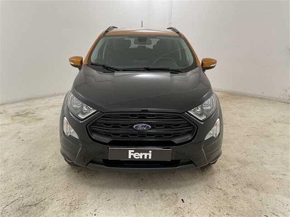 Ford EcoSport 1.5 Ecoblue 100 CV Start&Stop ST-Line Black Edition  del 2019 usata a Cesena (4)