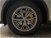 Alfa Romeo Stelvio Stelvio 2.2 Turbodiesel 210 CV AT8 Q4 Sport Edition del 2017 usata a Civitanova Marche (12)