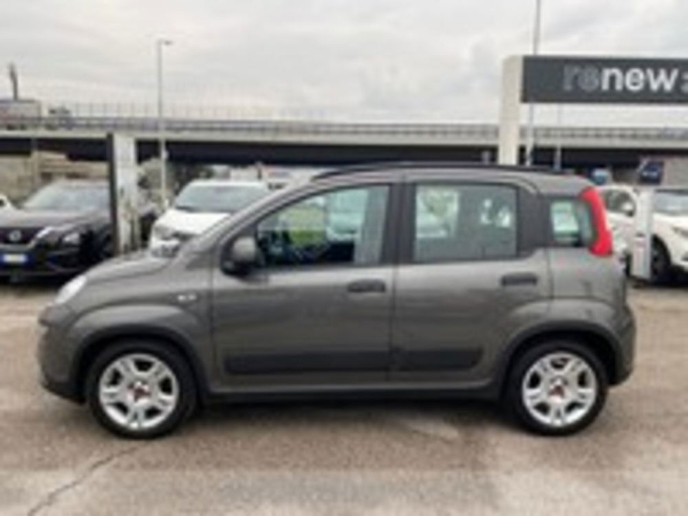 Fiat Panda 1.0 FireFly S&S Hybrid City Cross  del 2023 usata a Pordenone (2)