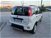 Fiat Panda 1.0 FireFly S&S Hybrid City Cross  del 2022 usata a Matera (6)